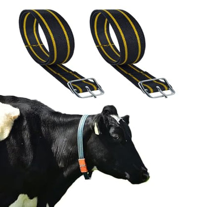 2PC Livestock Adjustable Cow Collar,Modern Style Braid Cow and Rope Halter,Adjustable Cow Halter Lead,Livestock Showing Supplies (Yellow) - color: Yellow