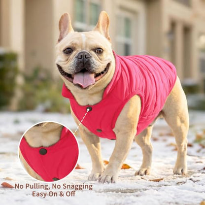 JoyDaog Fleece Lined Dog Jacket for Small Dogs,Winter Dog Coat,Pink M - color: Pink, size: Medium