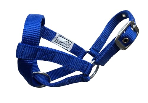 Livestock Goat Halter. Small, Medium, Large – Safe & Adjustable for Milking, Training, and Travel. (R. Blue, Small (29"–32")) - color: R. Blue, size: Small (29"–32")