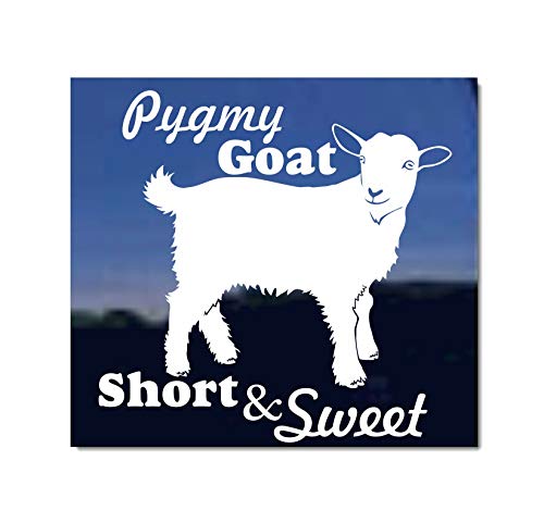 Pygmy Goat Short & Sweet | NickerStickers® Vinyl Window Decal Sticker