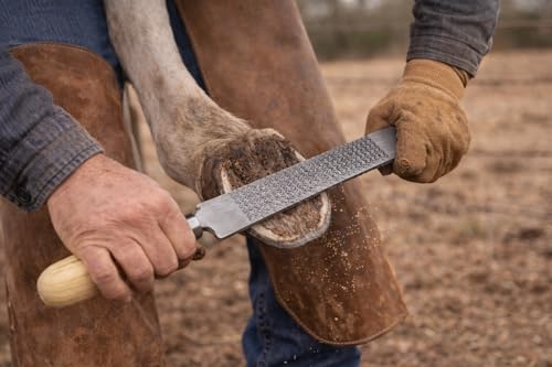 Tackmaster USA 16.5" Professional Farrier Horse Shoe Hoof Grooming Rasp w/Wood Handle 98419