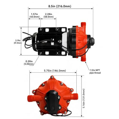 SEAFLO 55 Series 115V AC Automatic Demand Diaphragm Pump – 5.0 GPM, 60 PSI, 5-Chamber Self-Priming Water Pump w/Power Plug for Outlet, RV, Marine & Off-Grid Water Systems, 4-Year Warranty - style: 5.0 GPM | 115V