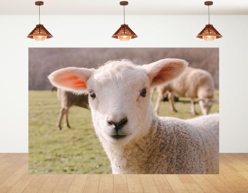 5x3ft White Lamb Close Up Backdrop Fluffy Wool Sheep Green Pasture Farm Portrait Photography Background Tapestry Farm Decorations Photo Booth Props - size: 5x3ft