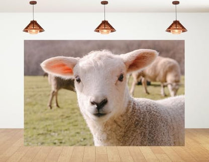 10x7ft White Lamb Close Up Backdrop Fluffy Wool Sheep Green Pasture Farm Portrait Photography Background Tapestry Farm Decorations Photo Booth Props - size: 10x7ft