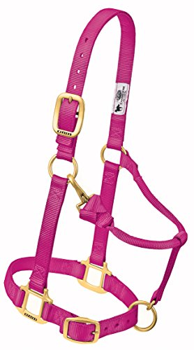 Weaver Leather Original Adjustable Nylon Horse Halter, Yearling, Raspberry