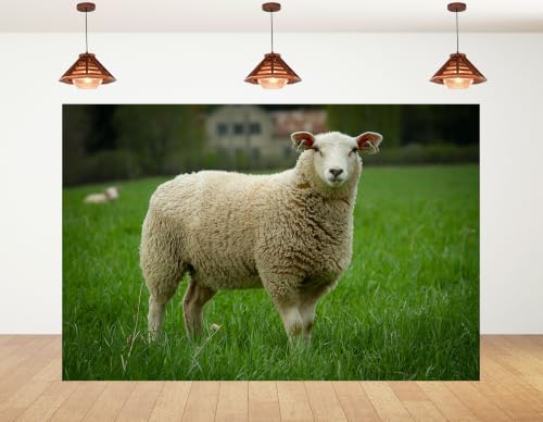 5x3ft Fabric Woolly White Sheep Backdrop Fluffy Thick Wool Sheep Lush Bright Green Pasture Distant Farm House Background Tapestry Farm Animal Decorations Photo Booth Props - size: 5x3ft