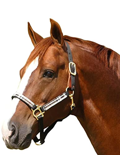 Kensington Premium Breakaway Halter with Padded Nose — Added Breakaway Safety Measures — Snap at Throat for Identical Fit Each Time - color: 121 - Deluxe Black, size: Large