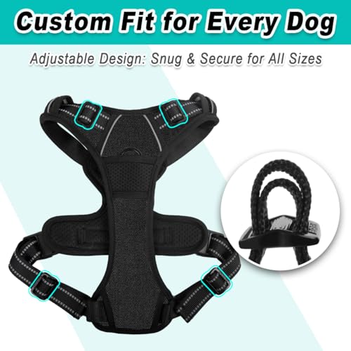 BARKBAY Dog Harness for Small Sized Dog No Pull 2 Leash Clips Dog Vest - color: Black, size: Small