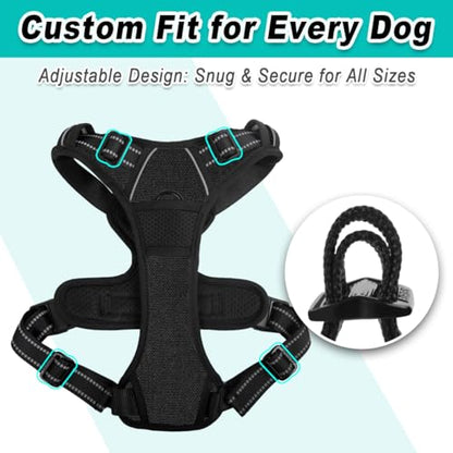 BARKBAY Dog Harness for Small Sized Dog No Pull 2 Leash Clips Dog Vest - color: Black, size: Small