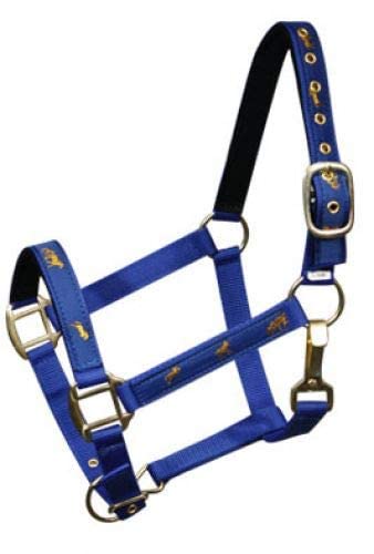 Adjustable Cob Size Neoprene Lined Nylon Halter w/Running Horse Overlay - color: Blue