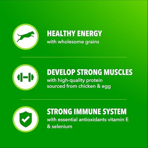 IAMS Proactive Health 성인용 Minichunks 건식 개 사료, 닭고기, 2.3kg(5파운드) - size: 5파운드(1팩)
