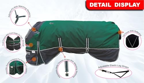 Majestic Ally 600 D Ripstop Nylon Horse Turnout Blanket, Waterproof, Heavyweight, Rain and Weather Resistant, 250 GSM (Hunter Green Black, 76 - Inch) - color: Hunter Green Black, size: 76 - Inch