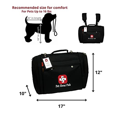 Ultimate Emergency Kit for Cats - with Carrier