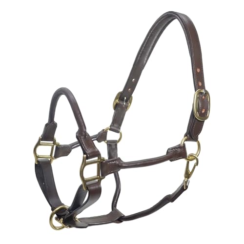 SIE Adjustable Horse Premium Rolled Leather Halter with Brass Hardware - color: Brown, size: Pony