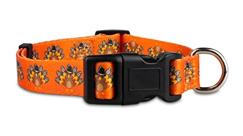Limeloot Thanksgiving Dog Collar, Adjustable Fall Dog Collar in Small, Medium, and Large, Holiday Collar for Female and Male Dogs, Turkey, Small - color: Thanksgiving Turkey, size: Small