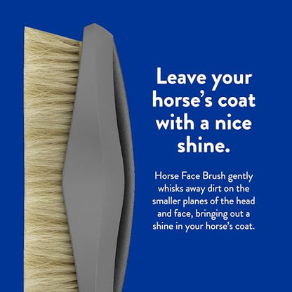 Wahl Professional Animal Equine Grooming Face Horse Brush, Black