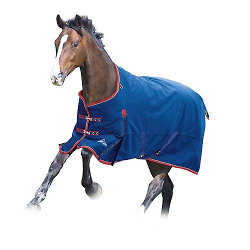 Highlander Plus 300g Horse Turnout Blanket - size: 81