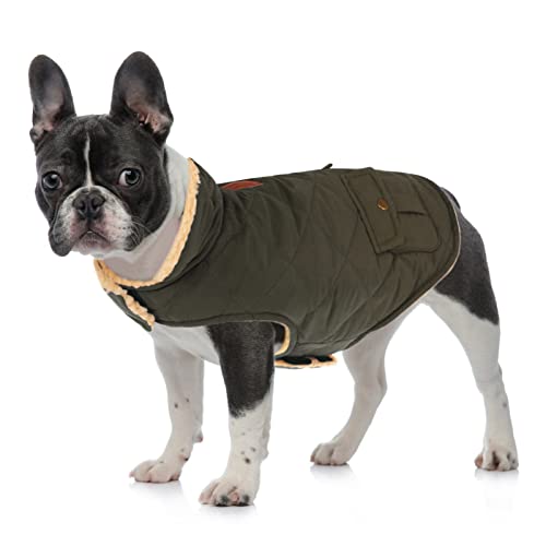 Queenmore Warm Puffer Dog Coat Thick Plush Quilting Small Winter Jacket - color: Green, size: Small