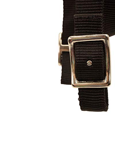 Derby Originals Tahoe Tack Plain Double Layer Nylon Padded Western Horse Headstall with Reins