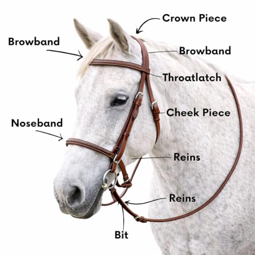 CHALLENGER Horse Western Black Leather Beaded Bitless Padded Sidepull Bridle w/Reins 77RS15 - color: Mahogany/Beaded