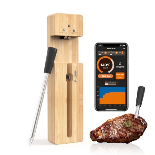Newise Bluetooth Wireless Meat Thermometer - Long Range & Fast Charge - style: 1 Probe