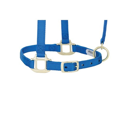 Weaver Leather Adjustable Breakaway Nylon Horse Halter, Blue, Weanling/Pony