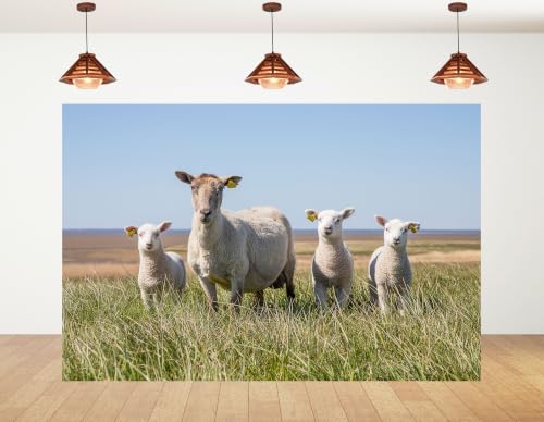 8x6ft Fabric White Wool Sheep Family Backdrop Four Fluffy Lambs Tall Green Grass Blue Coast Sky Photography Background Tapestry Party Farm Animal Decorations Photo Booth Props - size: 8x6ft