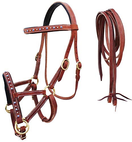 CHALLENGER Horse Western Harness Leather Turquoise Stone Bitless Sidepull Bridle w/Reins 77RS31