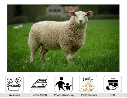 7x5ft Fabric Woolly White Sheep Backdrop Fluffy Thick Wool Sheep Lush Bright Green Pasture Distant Farm House Background Tapestry Farm Animal Decorations Photo Booth Props - size: 7x5ft