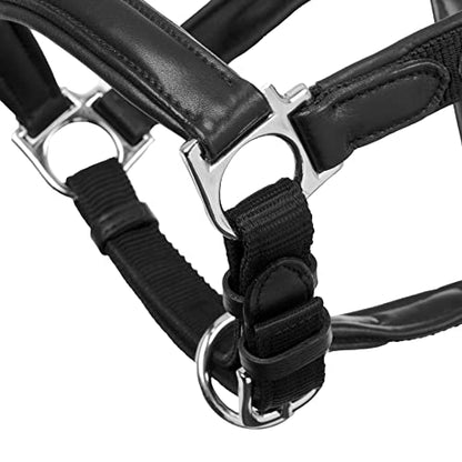 LeMieux Capella Headcollar for Horses - Leather/Nylon - Pressure Relief & Soft Touch - color: Black