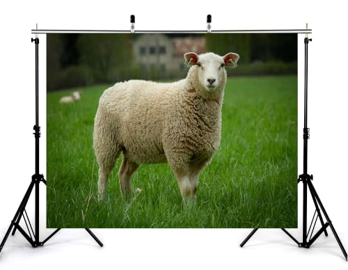 7x5ft Fabric Woolly White Sheep Backdrop Fluffy Thick Wool Sheep Lush Bright Green Pasture Distant Farm House Background Tapestry Farm Animal Decorations Photo Booth Props - size: 7x5ft