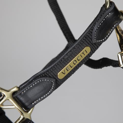 Shires Velociti Lusso Padded Halter - Leather Breakaway - color: Black, size: Full