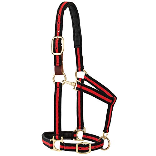 Weaver Equine Breakaway Horse Halter, Comfort Foam Padding, Adjustable Chin & Throat Snap Halters for Horses, Equine Tack,Average Size - color: Red/Black