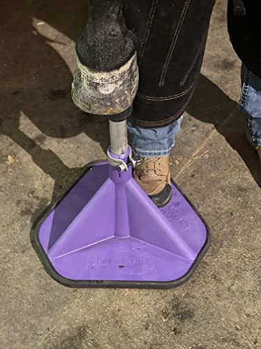 HOOF-IT Blacksmith Standard Hoof Stand Purple - color: Purple