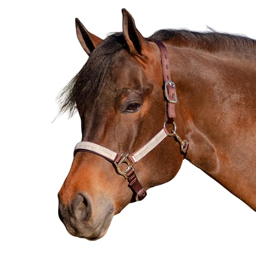 Kensington Premium Breakaway Halter with Padded Nose — Added Breakaway Safety Measures — Snap at Throat for Identical Fit Each Time - color: 500 - Desert Sand, size: Large