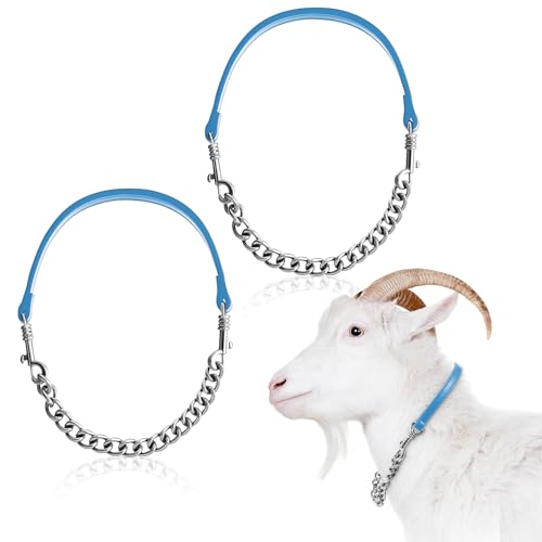 Misdary 2 Pcs Goat Show Collars Adjustable 14" Chain, 14'', Blue - color: Blue
