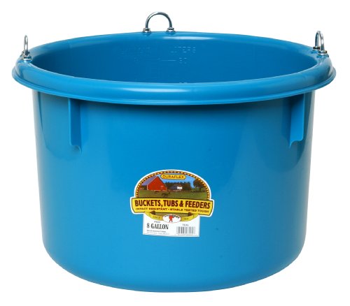 Little Giant® Plastic Round Feeder | Feed Bucket for Livestock | Ultra Durable Round Plastic Bucket | Made in USA | 8 Gallon | Teal - color: Teal