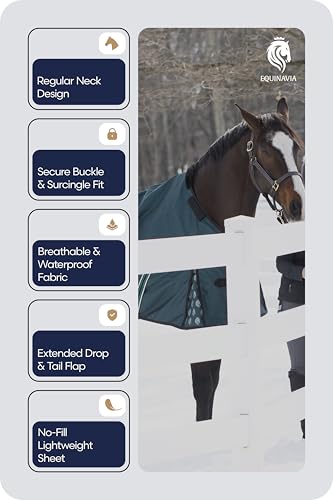 Equinavia Arktis Regular Neck Turnout Sheet - Deep Green - 78 in - color: Deep Green, size: 78 in