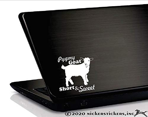 Pygmy Goat Short & Sweet | NickerStickers® Vinyl Window Decal Sticker
