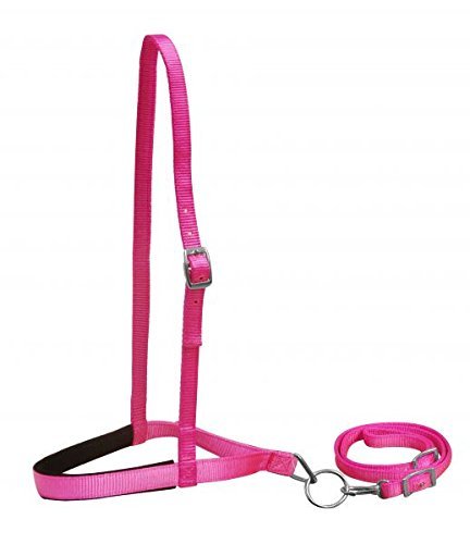 Showman Premium Nylon Noseband Tie Down w/Strap - color: Pink