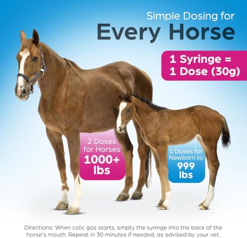 Fast Acting Horse Colic Relief – 15 Minute Natural Gas & Spasmodic Support – Oral Equine Digestive Comfort Syringe – Safe for Pregnant Mares – Essential Barn First Aid