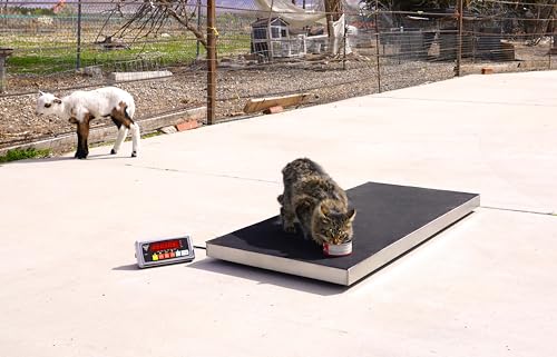 PEC Livestock Animal Scale/Farm Animal Scales for Weighing Small to Medium Sized Animals, Lamb, Goat, Sheep, Pigs, hogs, Donkey, Calf, Digital Indicator Included, Capacity 700lbs (44" x 22") - style: 44" x 22"
