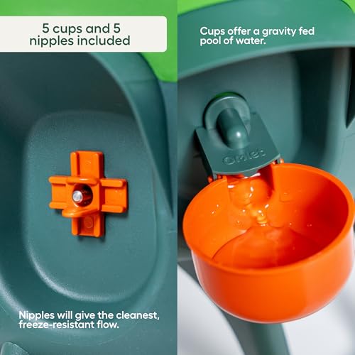 Omlet Insulated Chicken Waterer, 3 Gallon | Stay-Clean Automatic Water Dispenser for Chickens | BPA-Free | Anti-Roost Domed Lid | Includes 5 Cups & Nipples | Eglu Green - color: Eglu Green, size: 3 Gallon