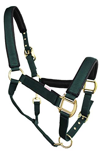 Nylon Horse Neoprene Padded Halter Brass Hardware Horse Tack Equine 606173 - color: Hunter Green