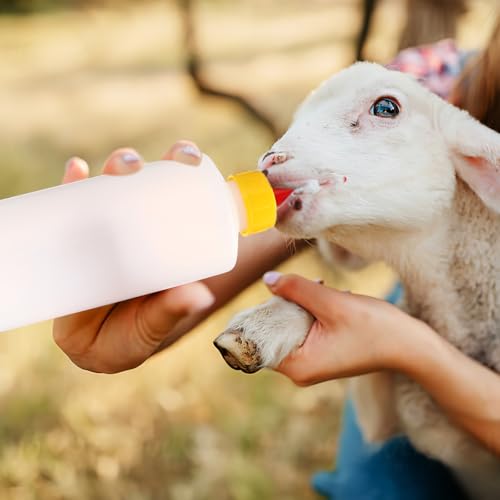 Abaodam Lamb Feeding Bottle Kit with Replacement Nipples, 400ml