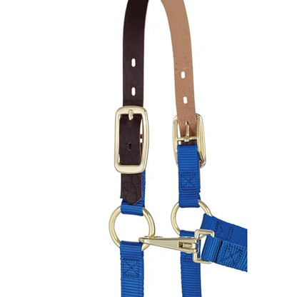 Weaver Leather Adjustable Breakaway Nylon Horse Halter, Blue, Weanling/Pony