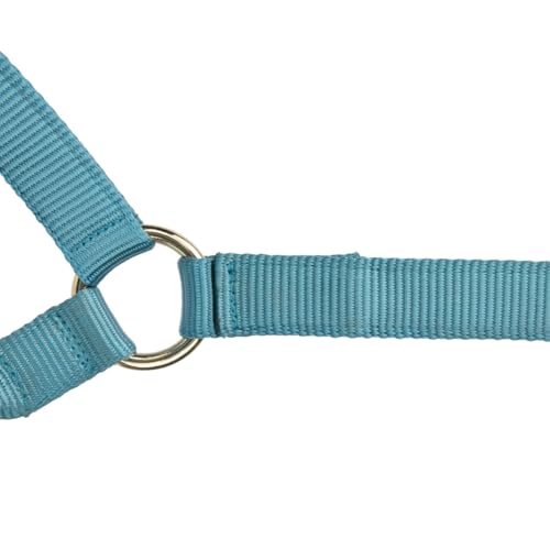 Shires ARMA Adjustable Nylon Halter - color: Teal, size: Cob