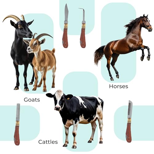 Professional Hoof Knife and Claws Interchangeable Stainless Steel Kit – Hoof Trimming & Cleaning Tools with Ergonomic Handle for Horses, Cattle, Livestock Animal - Zipper Case (Set of 4)