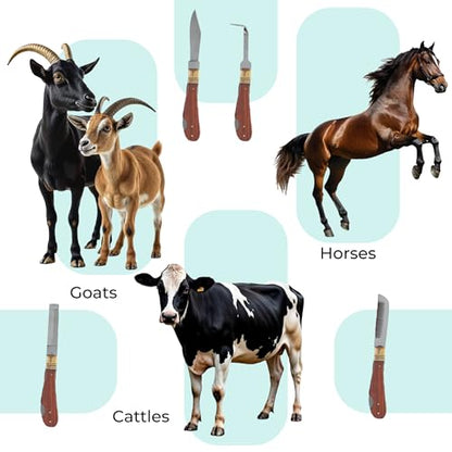 Professional Hoof Knife and Claws Interchangeable Stainless Steel Kit – Hoof Trimming & Cleaning Tools with Ergonomic Handle for Horses, Cattle, Livestock Animal - Zipper Case (Set of 4)