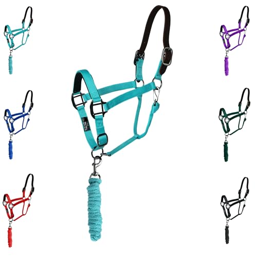 Majestic Ally Leather Halter with Matching Lead Rope for Horses – Leather Breakaway Crown - Adjustable Chin Strap – Rolled Throat Latch – Padded Noseband – Full (Turquoise, Cob) - color: Turquoise, size: Cob